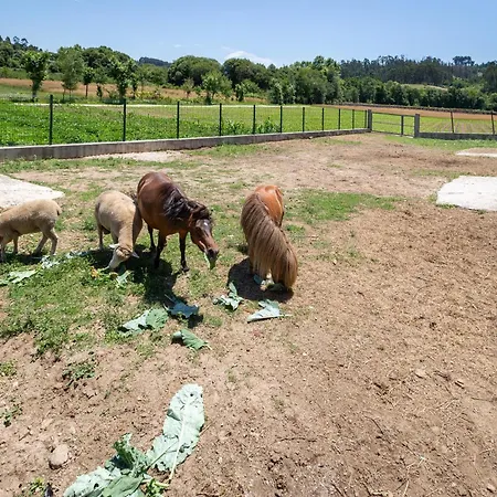 Дом отдыха Retiro Da Orquidea *