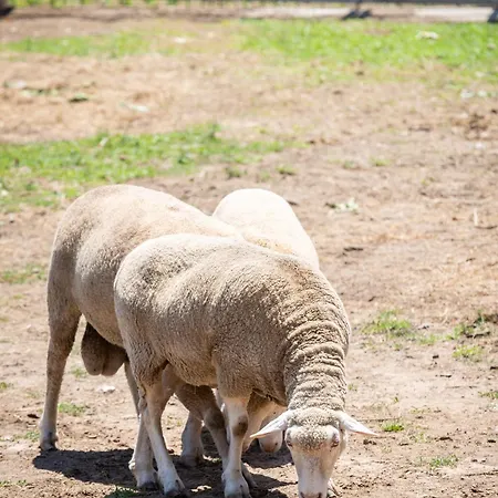 Дом отдыха Retiro Da Orquidea *