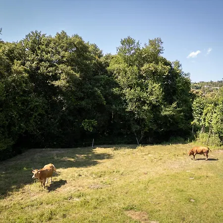 Retiro Da Orquidea Vakantiehuis *