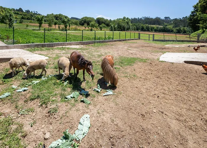 Tatil Evi Retiro Da Orquidea *