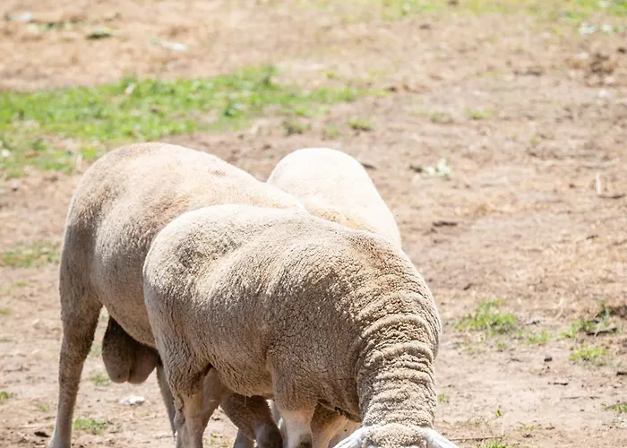 Tatil Evi Retiro Da Orquidea *