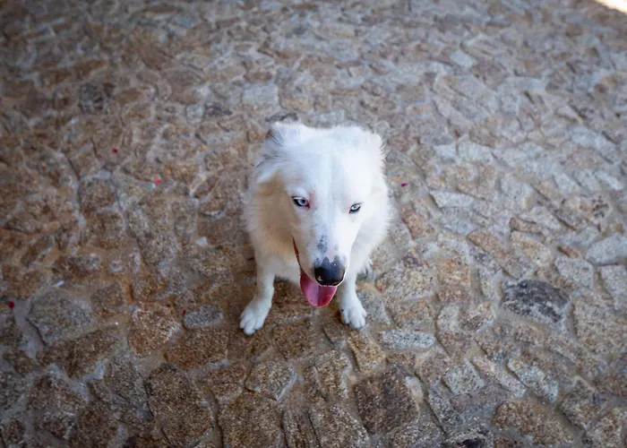 Nyaraló Retiro Da Orquidea Painzela