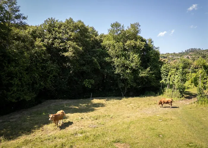 Retiro Da Orquidea Tatil Evi *